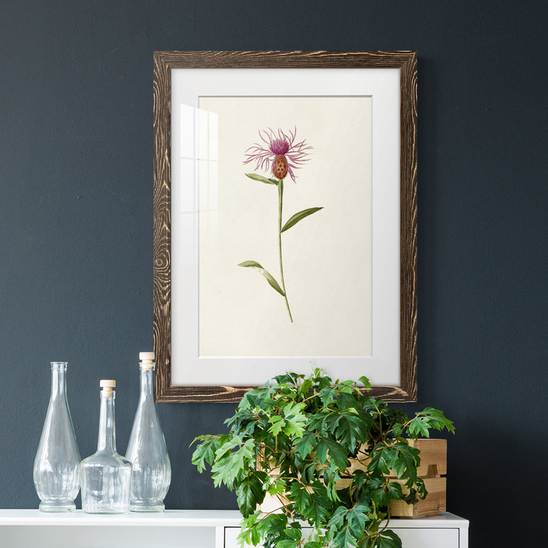 Mauve Garden Flowers VI - peinture encadrée, Cadre noyer, H 32 po x l 23 po x P 1 po