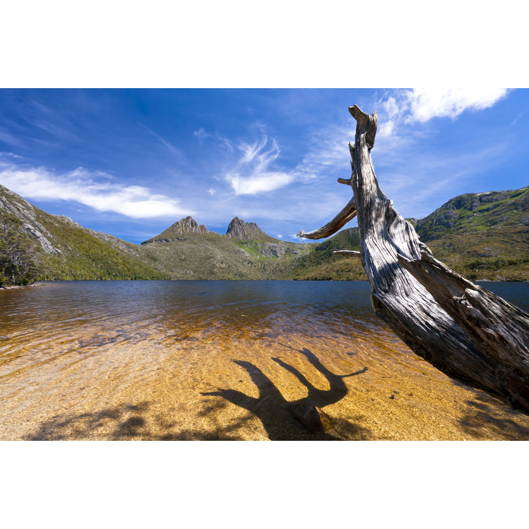 Cradle Mountain von Mikulas1 - Druck auf Leinwand ohne Rahmen