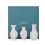 Jardins du Monde Mini 3 Piece Whitewash Table Vase Set