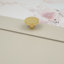 Polished Brass Disc Knobs-128905919