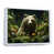 White Floater Framed