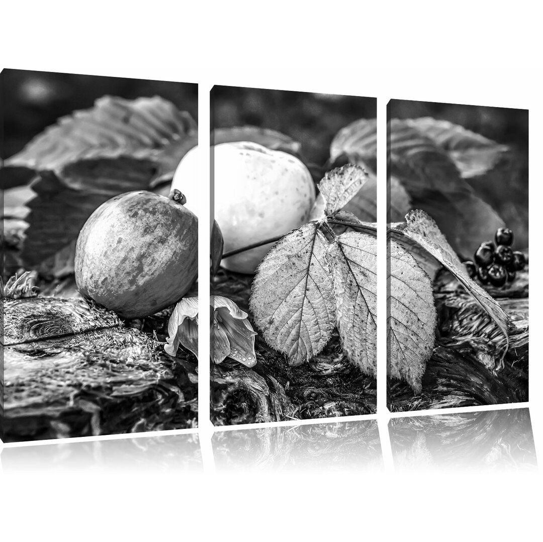 3-tlg. Leinwandbilder-Set „Äpfel und Blätter im Herbst“, Fotodruck