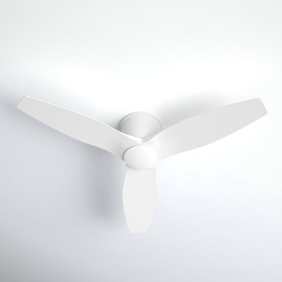 Aisling Ceiling Fan with LED Lights