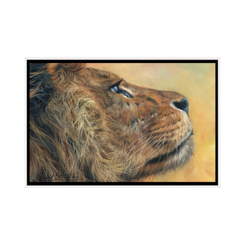 Lion Profile by David Stribbling - Print on Canvas, White Framed, 101.6 cm H x 66.04 cm W