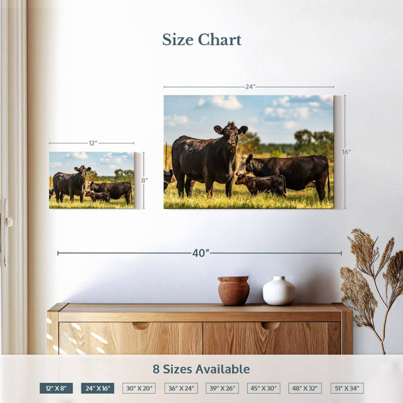 Brampt Grazing Angus Cows, 16" H x 24" W