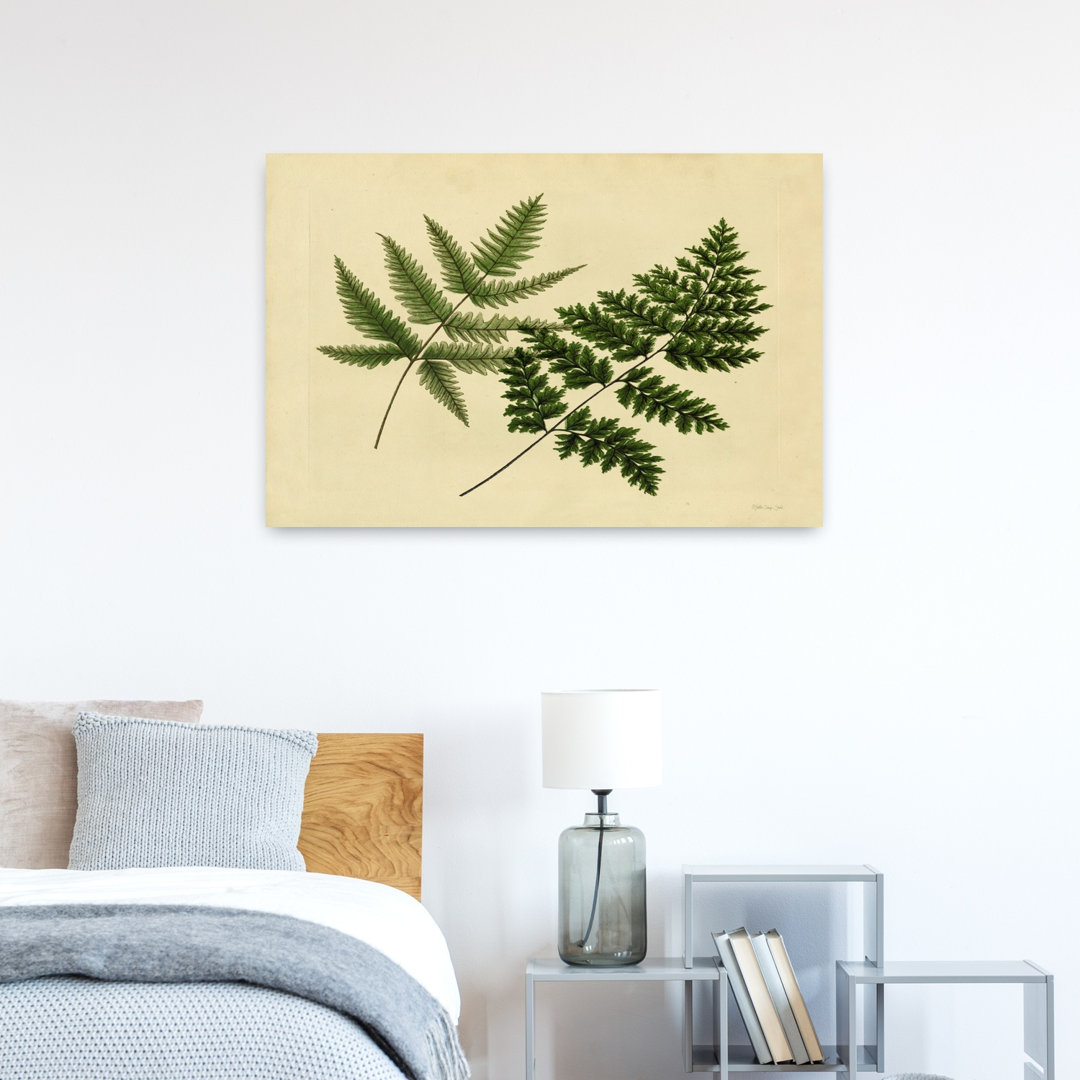 Antique Ferns 1 Abstract Contemporary Fern Landscape Nature Wall Art Print