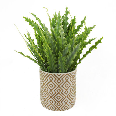 Ceramic Cachepot