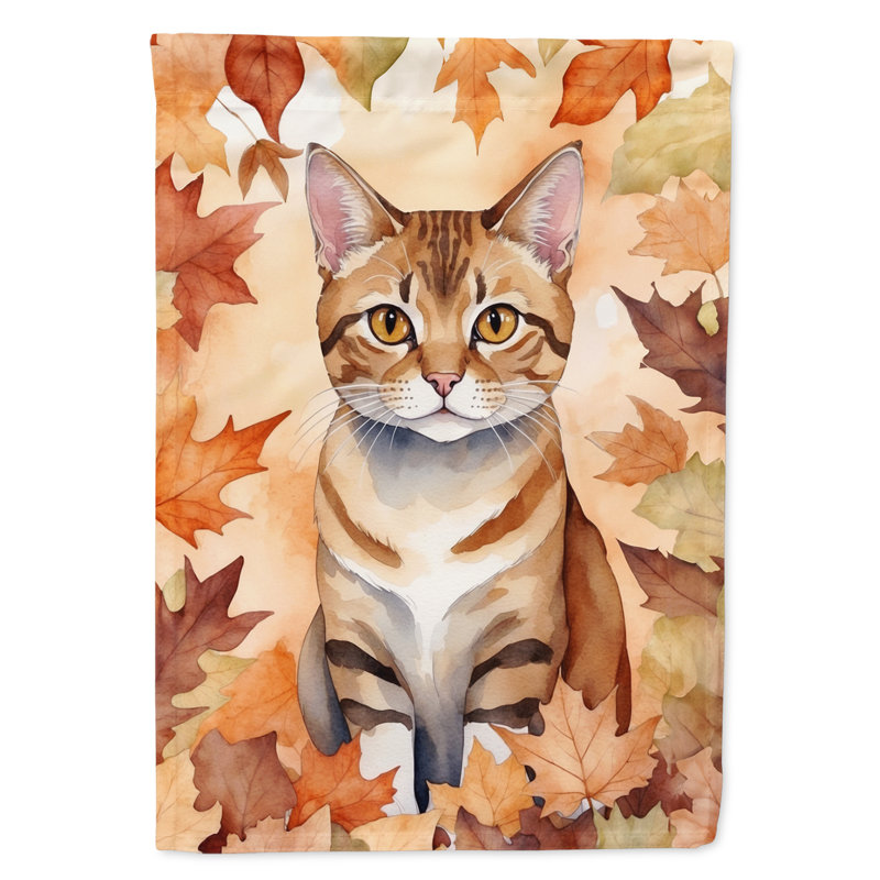 Chat en feuilles d'automne, German Rex