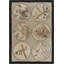 Antique American Folk Art Naturalist Design Hooked Bird Rug