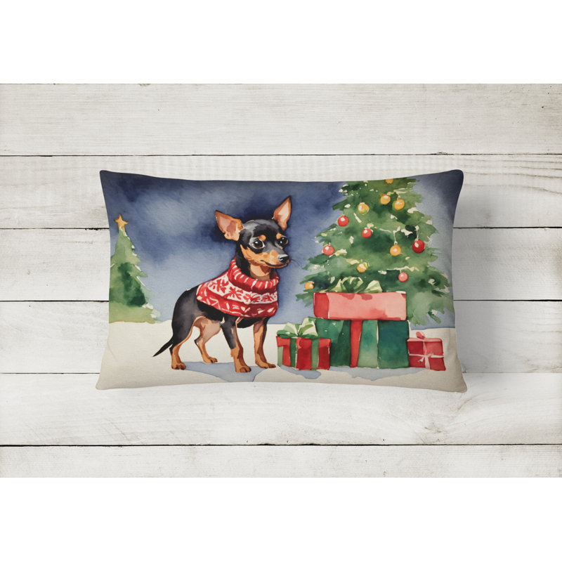  Other/No Pattern Throw Pillow