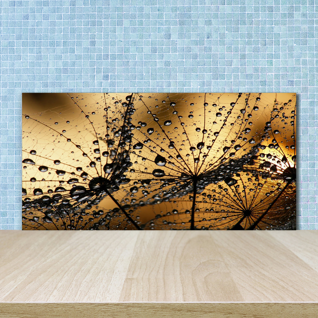 50 cm x 100 cm Glas Spritzschutzpaneel Löwenzahn