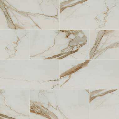 MSI Regallo 24 x 24 Porcelain Marble Look Wall & Floor Tile & Reviews