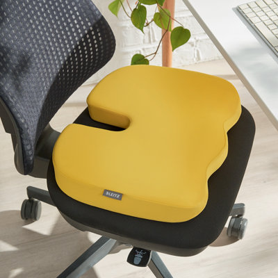 Leitz Back Support