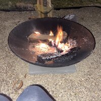 Wrought Studio Eckard Raised Cast Iron Wood Burning Fire Pit & Reviews