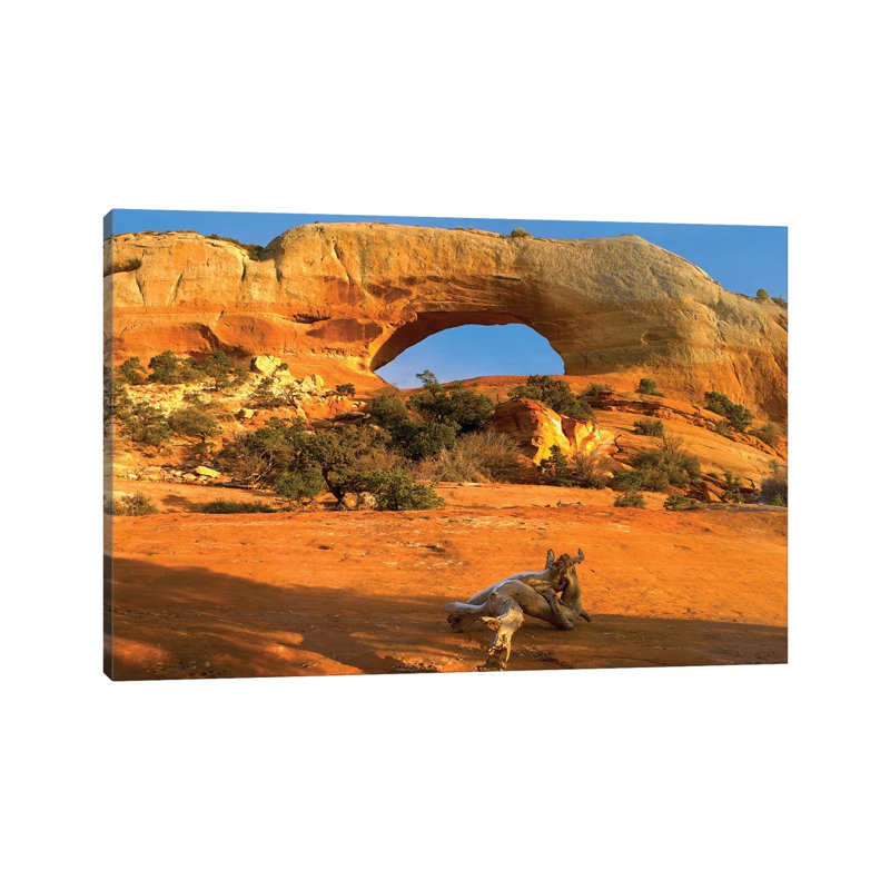 Wilson Arch WithA Span Of 91 Feet And Height Of 46 Feet Off Highway 191 Made Of EntradaSandstone UT by Tim Fitzharris - Gallery-Wrapped Canvas Giclée on Canvas