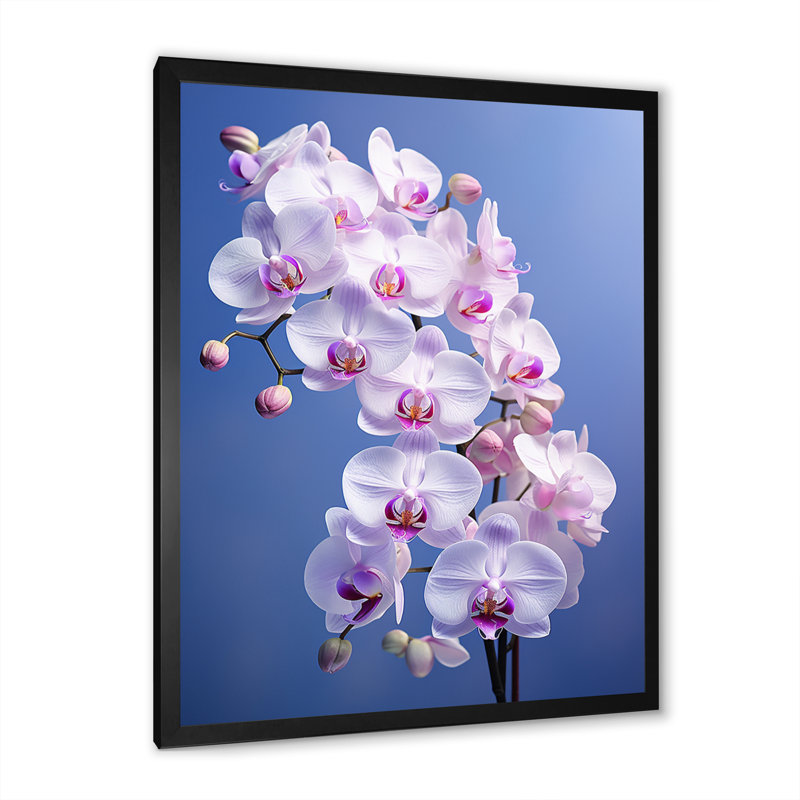 Orchidées mauves élégantes I - imprimé, H 40 po x l 30 po x P 1,5 po, Cadre photo noir