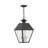 Fraida Bulb Outdoor Hanging Lantern-22670234