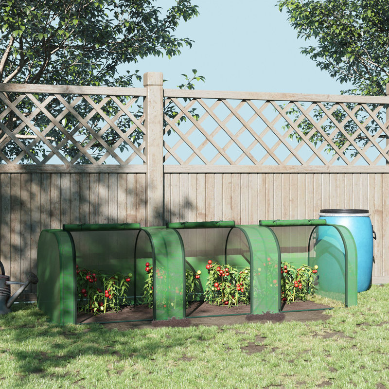 Annedoris 9.67 Ft W x 3.2 Ft D Mini Greenhouse, Green/Light Blue