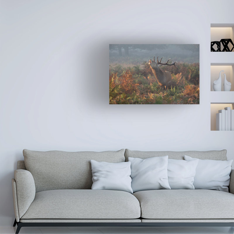 Art sur toile cerf bolognais Prashant Meswani, H 12 po x l 19 po