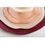 SALMON DINNER PLATE Set of 6-74344293