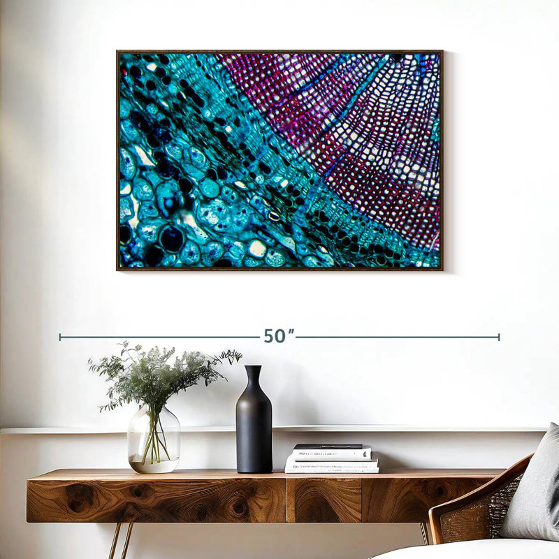 Pine Stem Under Microscope, 37" X 25", Floating Frame Walnut