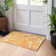 Chayden Area Rug