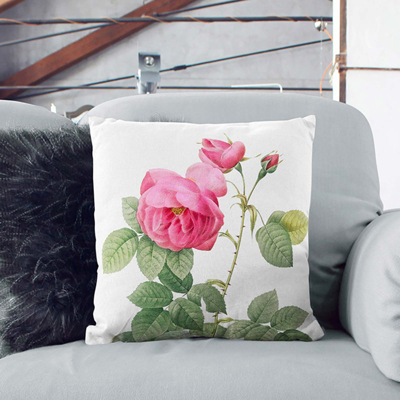 Bourbon Rose In Pink Square Throw Cushion, White, 55cm H x 55cm W x 20cm D