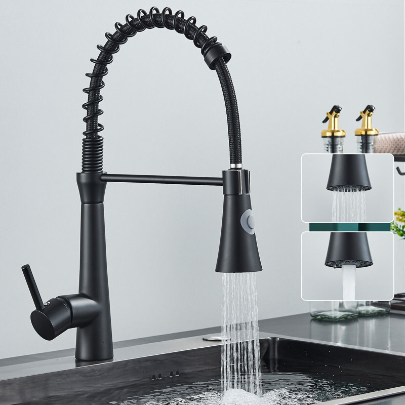 Belfry Kitchen Macsen Pull Out Kitchen Faucet with Soap Dispenser