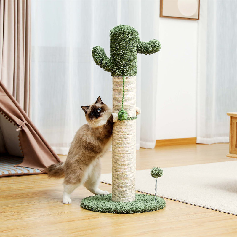 Grattoir 34 "Connard Cactus, H 33,5 po x l 15,7 po x P 15,7 po, Blanc