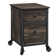 Rushton 20.87'' Wide 2 -Drawer Mobile File Cabinet