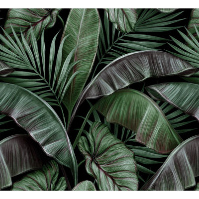 Feuillage tropical luxuriant à feuilles tropicales