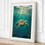 Turtle in Light Coastal - Wrapped Canvas-978167322-978167302