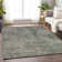 Premium Machine Washable Prisco Taupe Rug