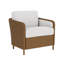 Visions Outdoor Lounge Chair-68923634-98133270