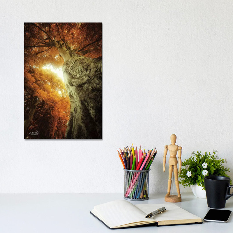 Look Up Autumn by Martin Podt - Wrapped Canvas Gallery-Wrapped Canvas Giclée, 20.32 cm H x 30.48 cm W