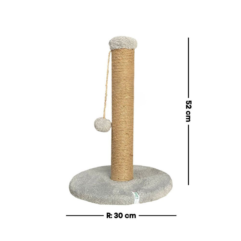 Grattoir pour chat, Gris