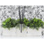 Plant / Floral Reed Diffusers And Sticks