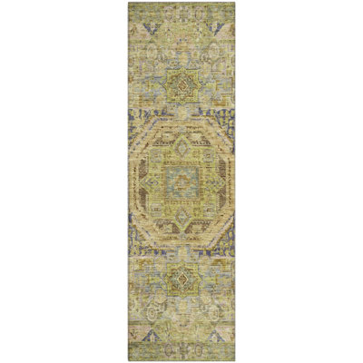 Premium Machine Washable Lubbers AMF1743 Global Rug
