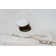 Teak & Orobico Sintered Stone Dining Table