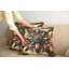 Ensemble de 2 housses de coussin Ambesonne-99020312-99020313