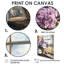 «Hydrangeas By The Farmhouse Window I - Hydrangea», art mural encadré-530300864-530300867-530300889