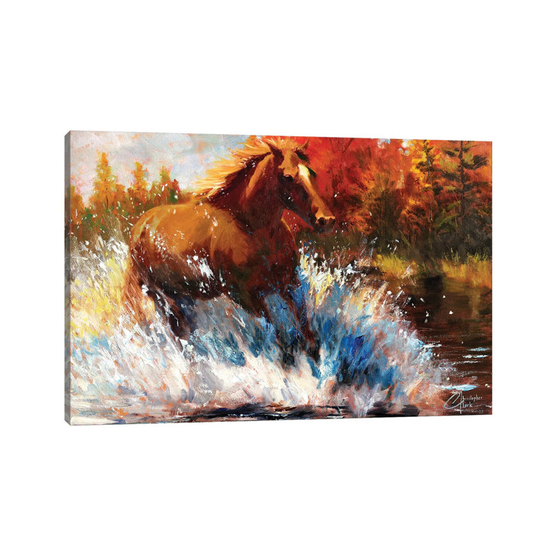 Freedom 1 Piece Wrapped Canvas Painting