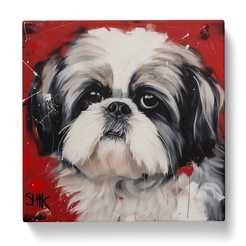 Shih Tzu Constructivism No.3 - Wrapped Canvas, 35cm H x 35cm W x 3cm D
