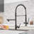 FLG Kitchen Faucet-86175978