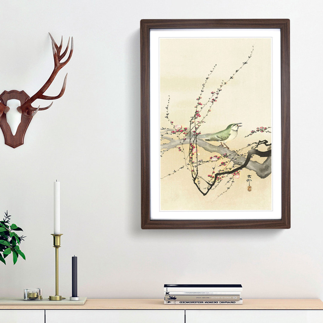 Songbird in a Plum Blossom Tree by Ohara Koson - Framed Print