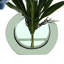 Orchid Floral Arrangement in Vase-97821096