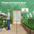 KING BIRD Premium 20x10x6.6FT Large Walk-in Greenhouse for Outdoors, Heavy Duty Galvanized Steel Frame, Green-122938298-122938295