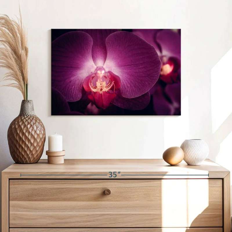 Harnek Purple Moth Orchid, 8" H x 12" W