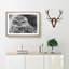 Little Owl - Picture Frame Graphic Art Print-56860004-56860010