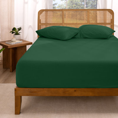 Drap-housse - Coton - Jersey